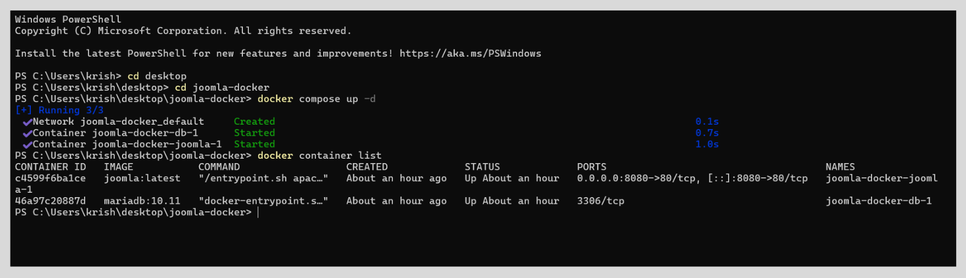 Terminal docker start output