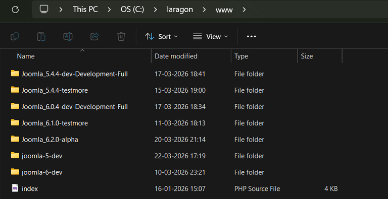 laragon setup project folders
