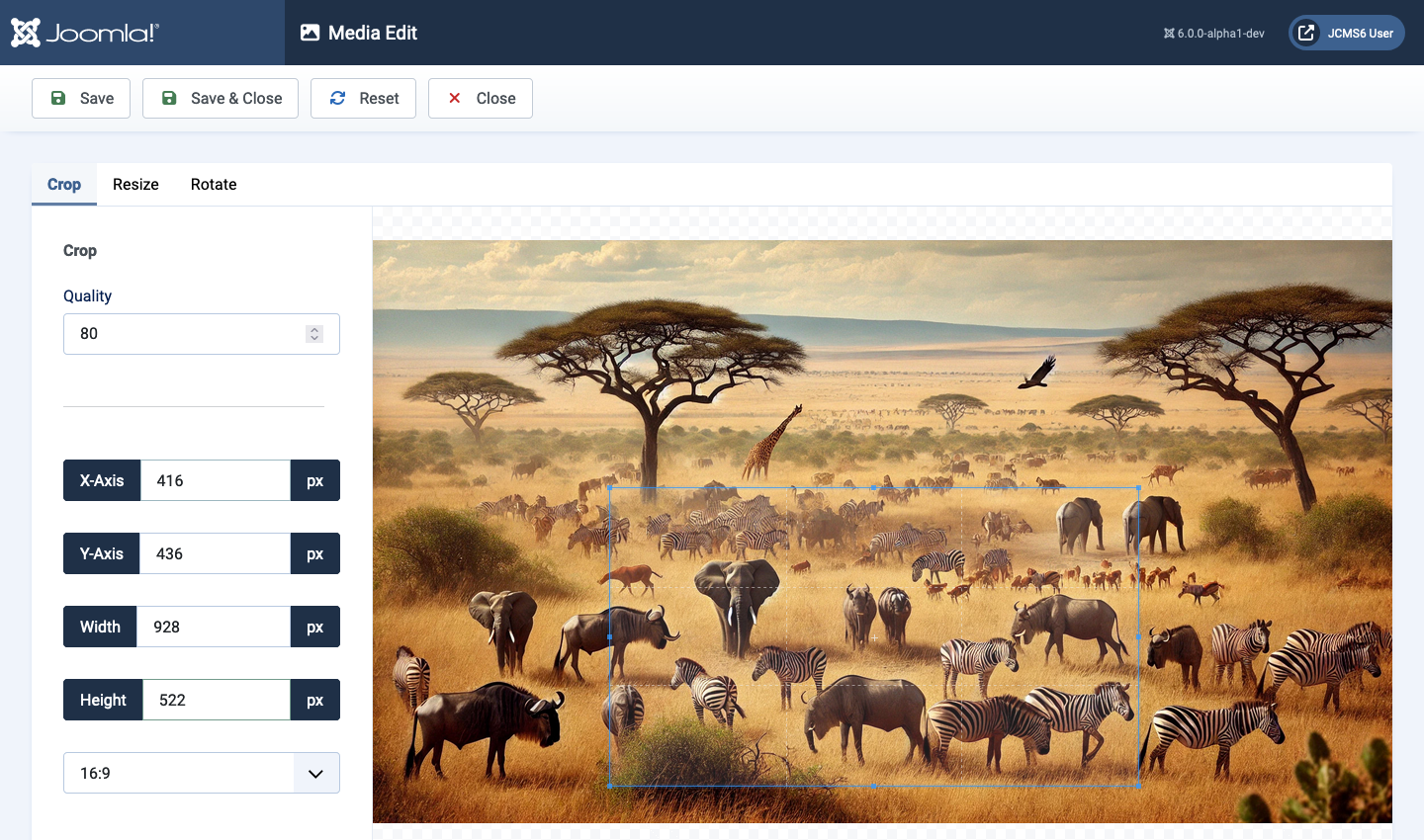 Picture of animals